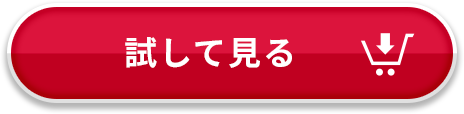 試してみる