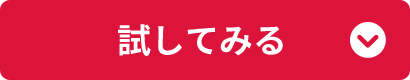 試してみる