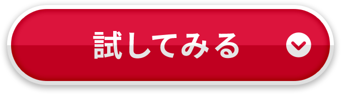 試してみる