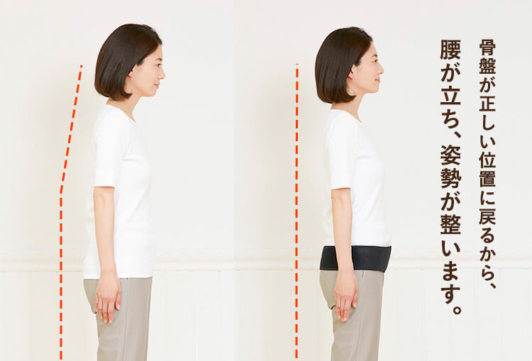 腰が立ち、姿勢が整います。