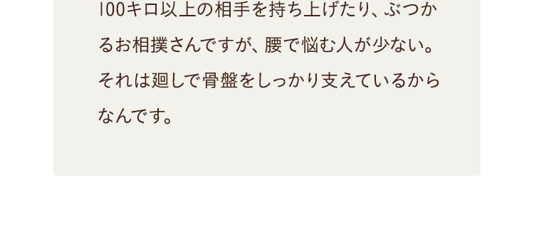 骨盤をしっかり支えているからなんです。