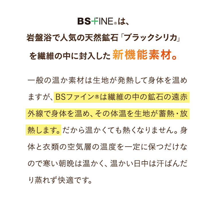 BSFINEは