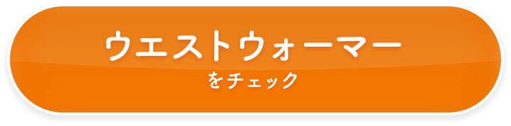 ウエストウォーマーをチェック