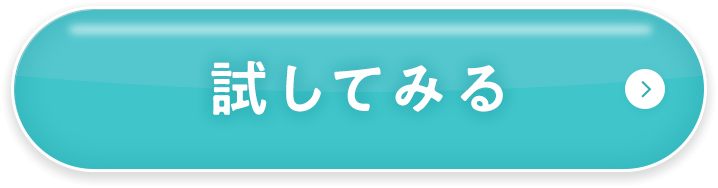 試してみる