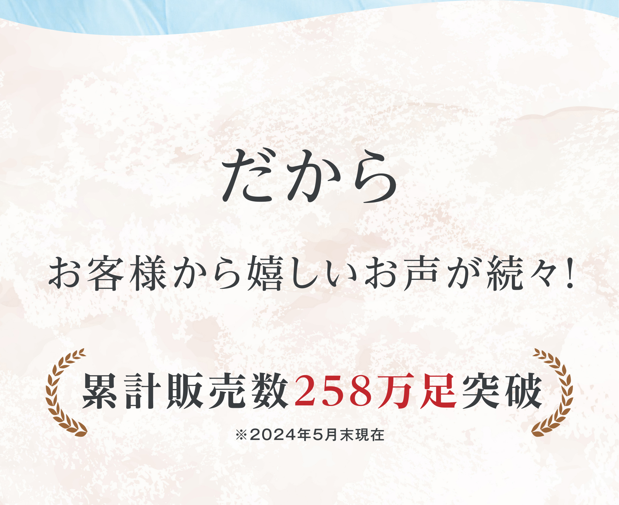 だから お客様から嬉しいお声が続々！ 累計販売数258万足突破 ※2024年5月末現在