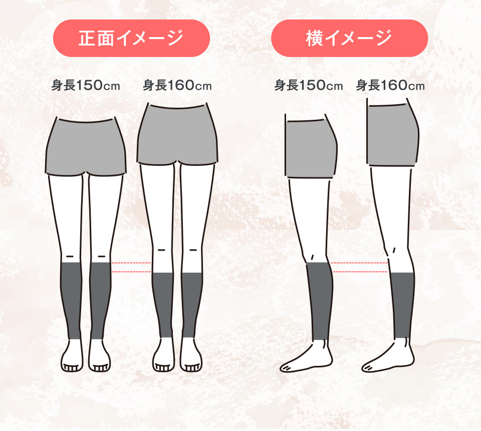 正面イメージ 横イメージ