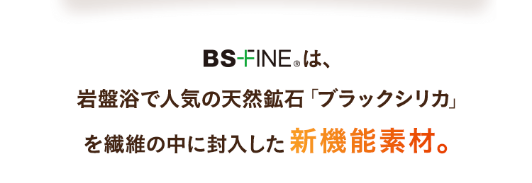 BS-FINEは