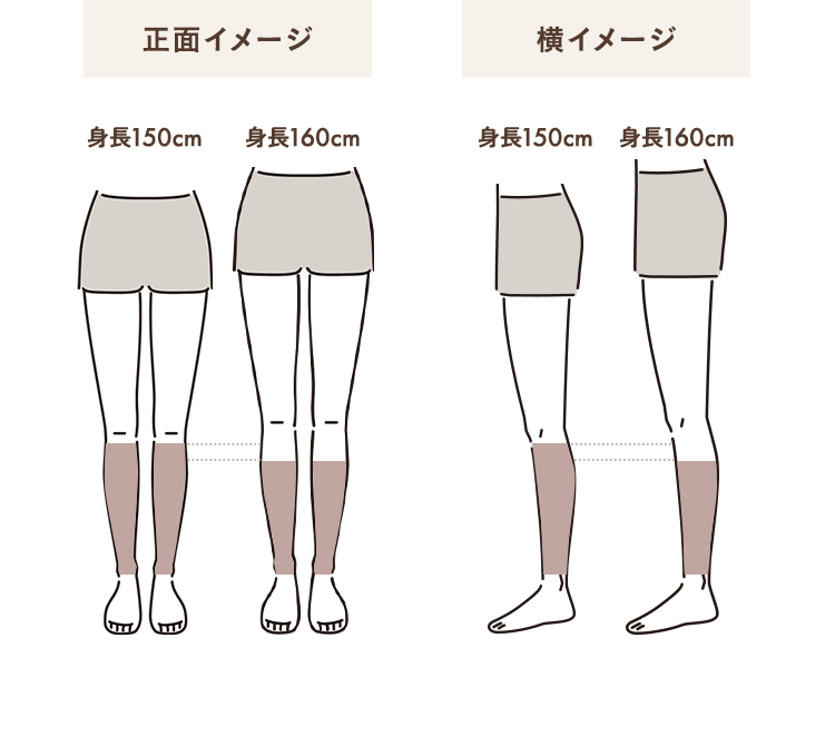 正面イメージ