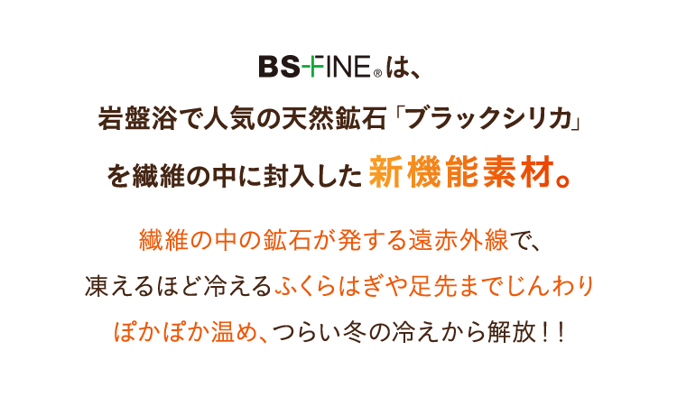 BS-FINEは
