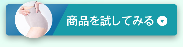 試してみる