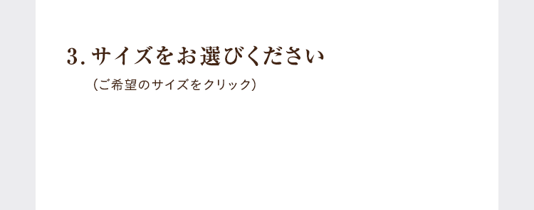 3.サイズをお選びください