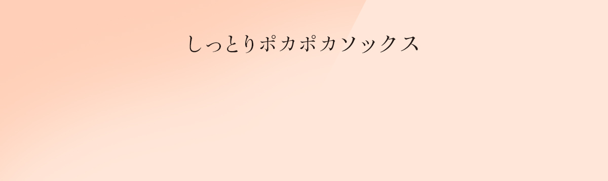 着る岩盤浴　BS-FINE BS-FINEのソックス