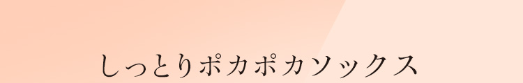 着る岩盤浴　BS-FINE BS-FINEのソックス