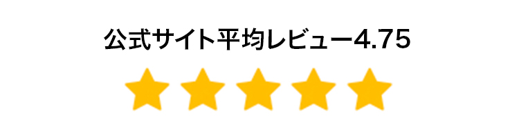 レビュー