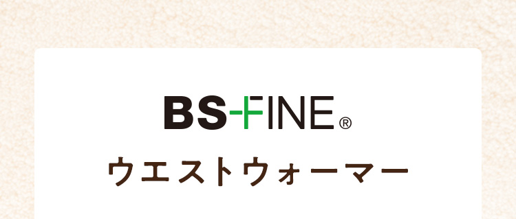 BS-FINE