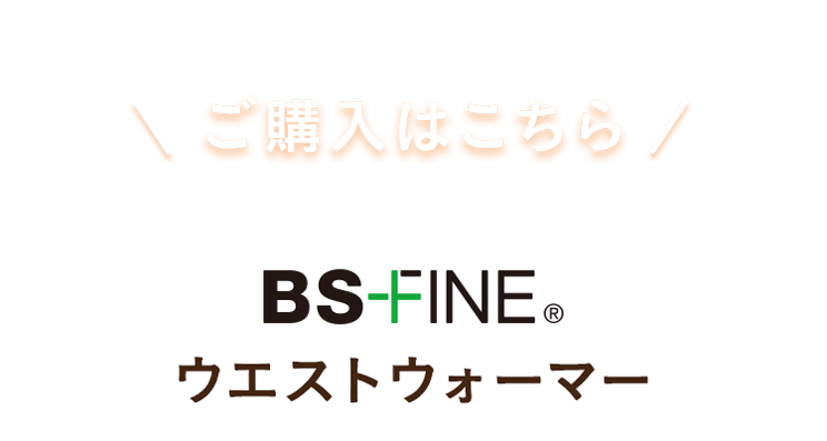 BS-FINE